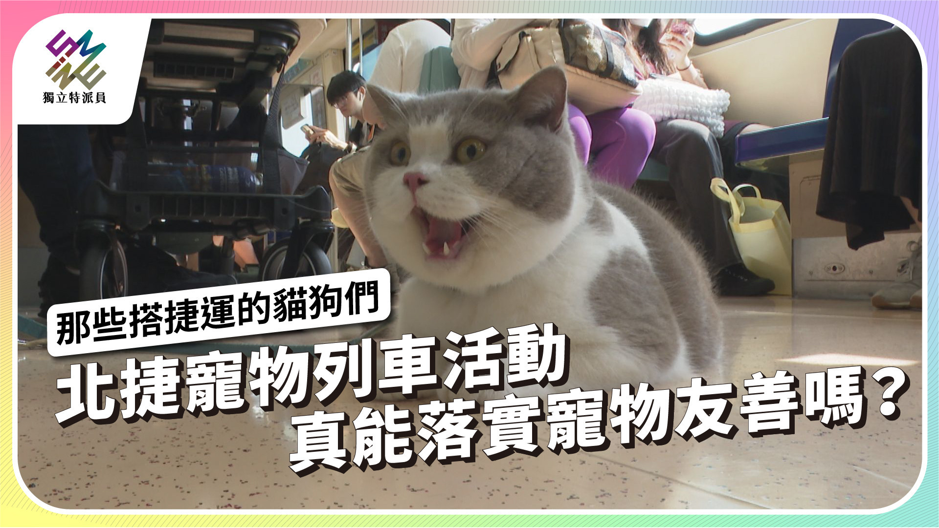 尊重物種平等，動物福利知多少？